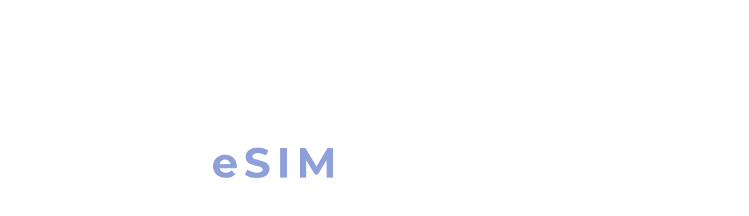 NX TRAVEL eSIM